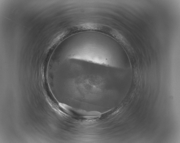 X0000080690398200612151254
