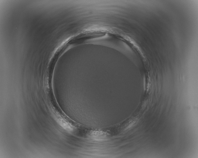 X0000080690399200612151254
