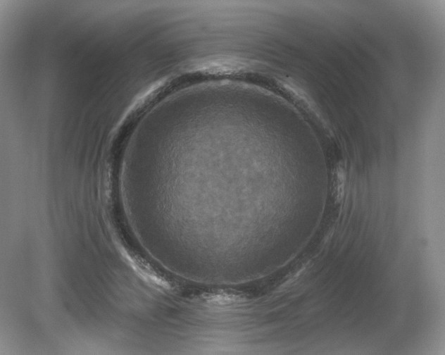 X0000080690400200612151254