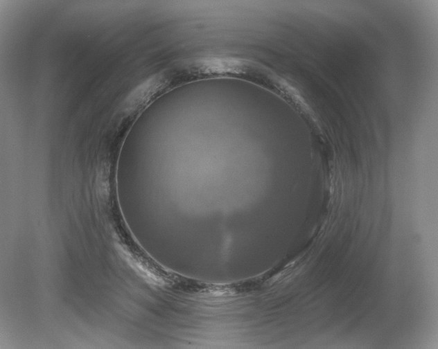 X0000080690402200612151254