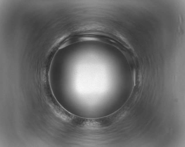 X0000080690403200612151254