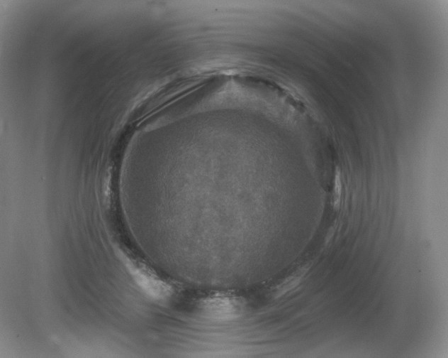 X0000080690404200612151254