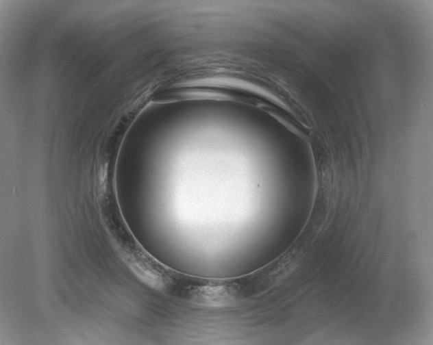 X0000080690406200612151254