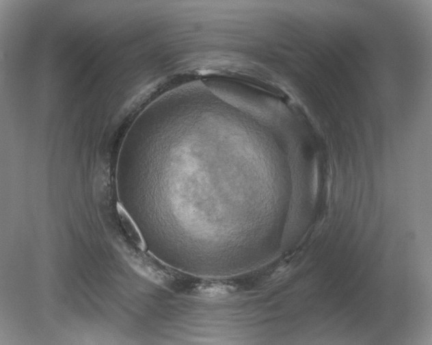 X0000080690407200612151254