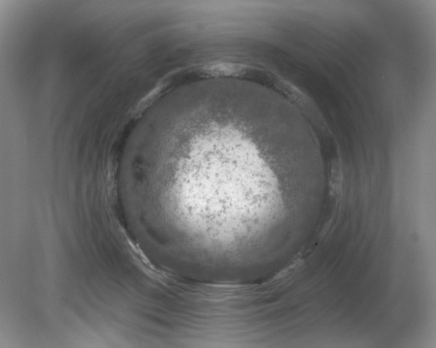 X0000080690409200612151254