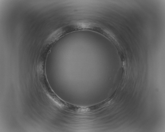 X0000080690410200612151254