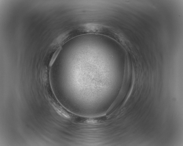 X0000080690413200612151254
