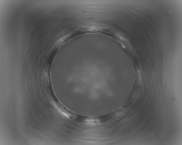 X0000080690415200612151254