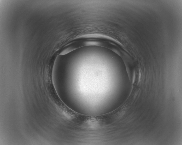 X0000080690416200612151254