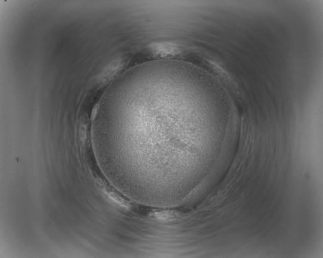X0000080690417200612151254