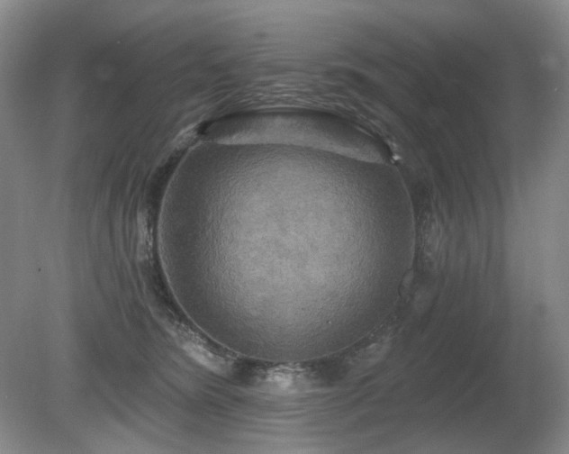 X0000080690420200612151254