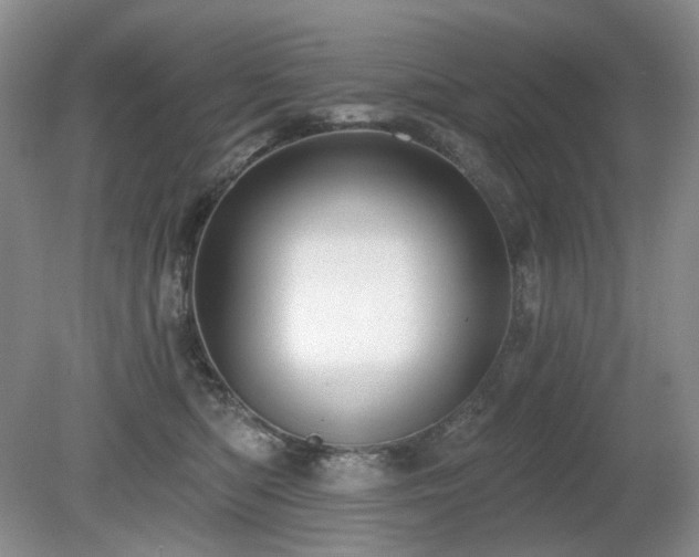 X0000080690422200612151254
