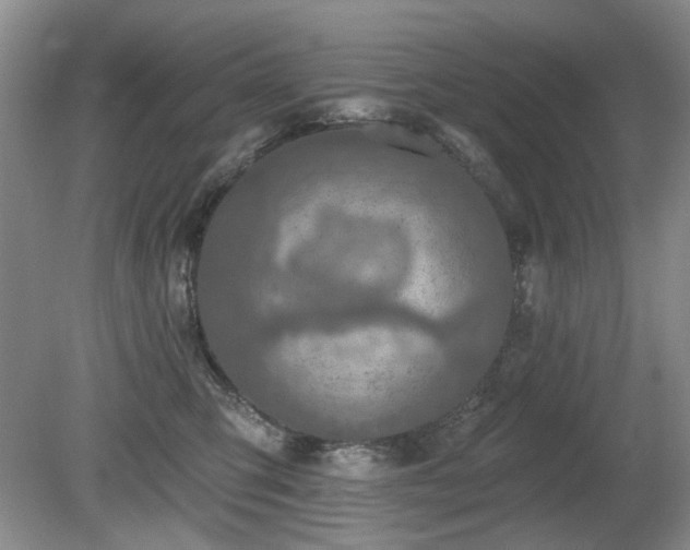 X0000080690423200612151254