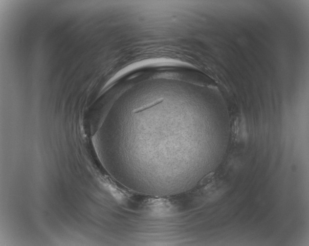 X0000080690424200612151254