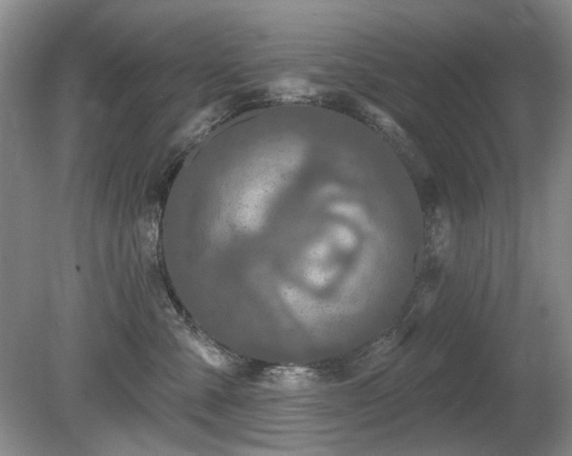 X0000080690427200612151254