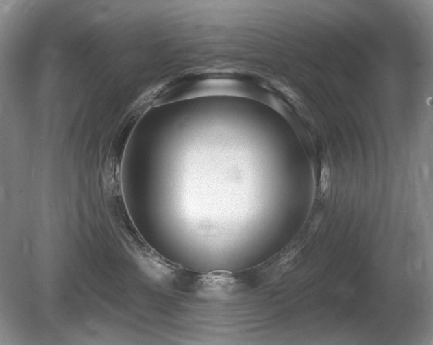 X0000080690429200612151253