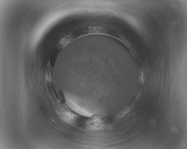 X0000080690431200612151253