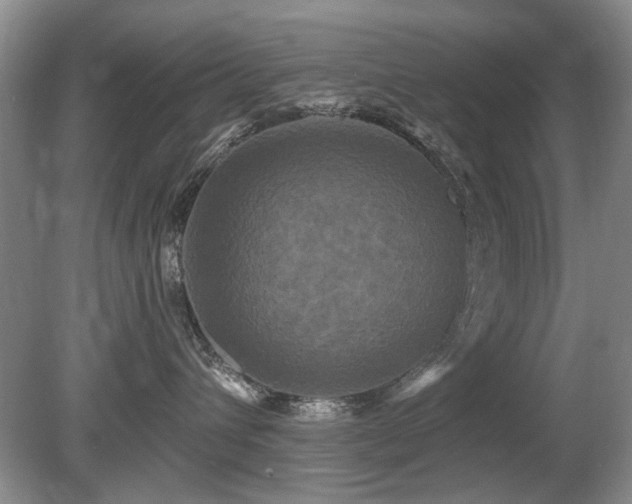 X0000080690432200612151253