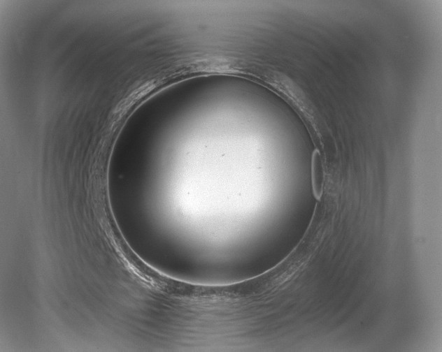 X0000080690433200612151253