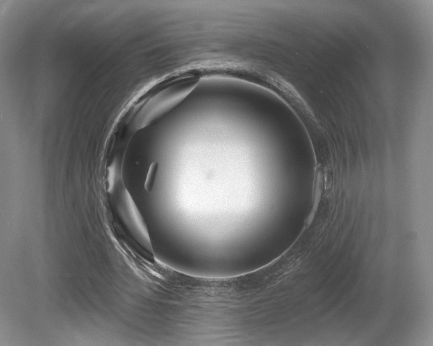 X0000080690436200612151253