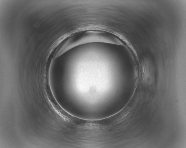 X0000080690437200612151253