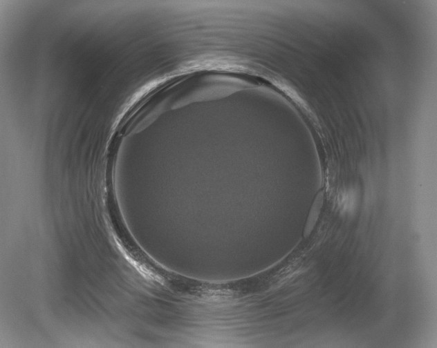 X0000080690438200612151253