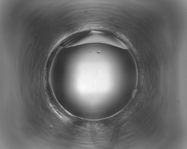 X0000080690439200612151253
