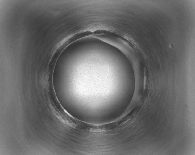 X0000080690440200612151253