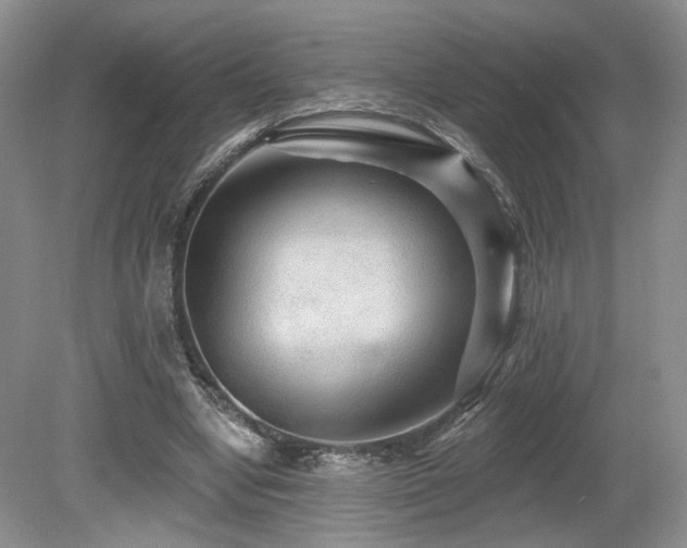 X0000080690442200612151253