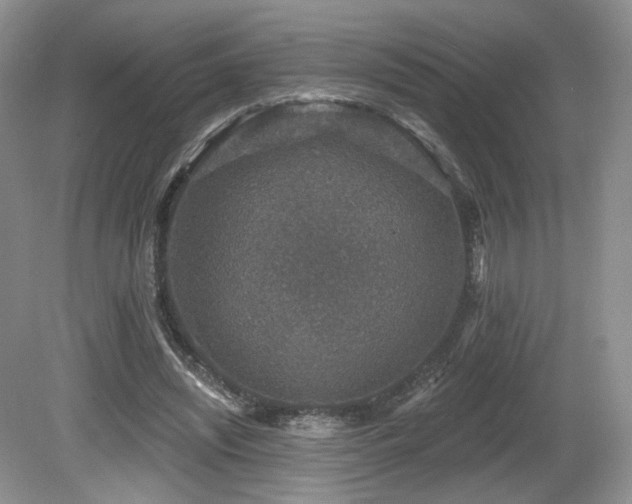 X0000080690444200612151253