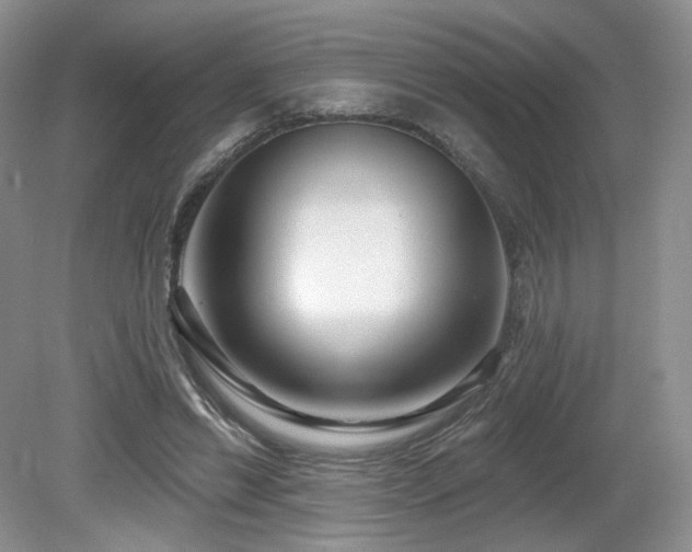 X0000080690446200612151253