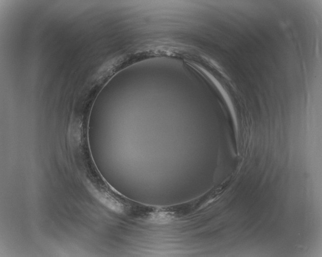 X0000080690451200612151253