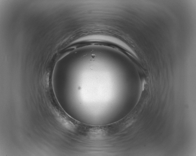 X0000080690454200612151253