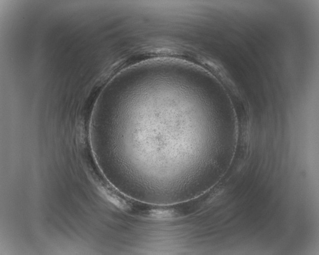 X0000080690457200612151253