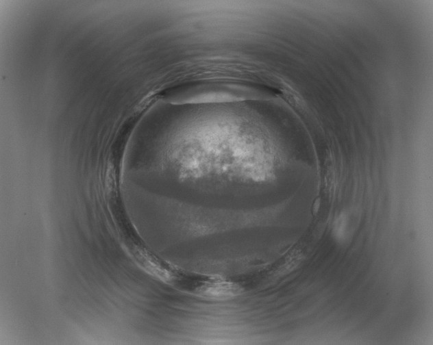 X0000080690459200612151253