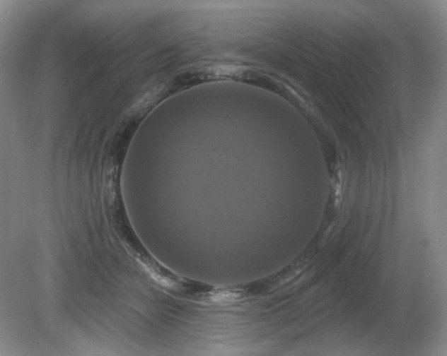X0000080690462200612151253