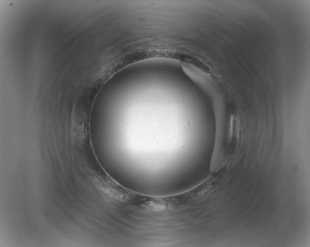 X0000080690464200612151253