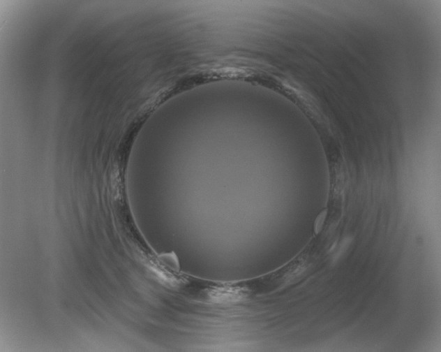 X0000080690465200612151253