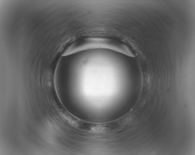 X0000080690470200612151253