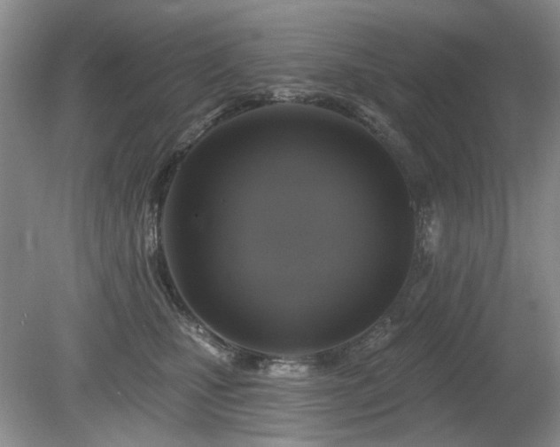 X0000080690471200612151253