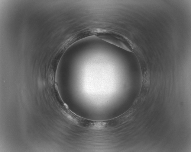 X0000080690474200612151253