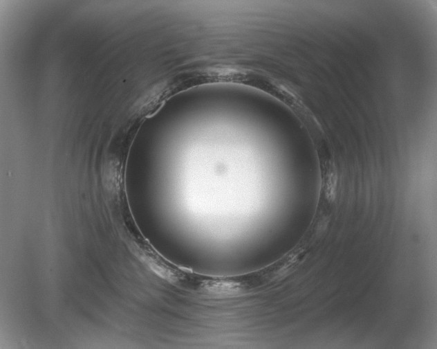 X0000080690476200612151253