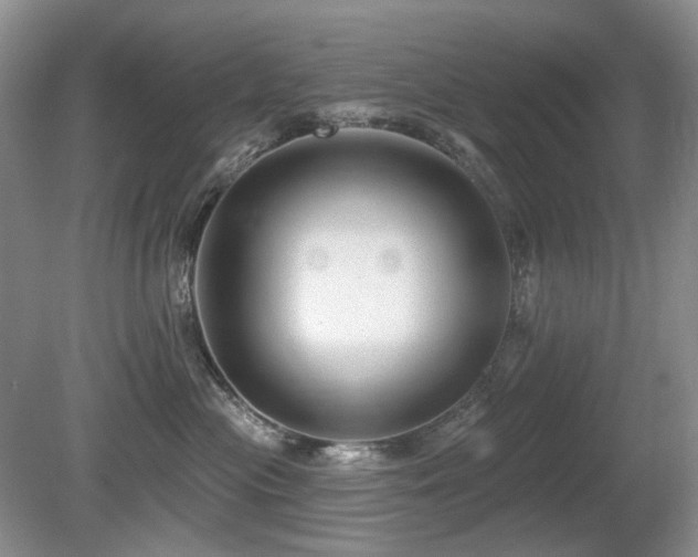 X0000080690477200612151253