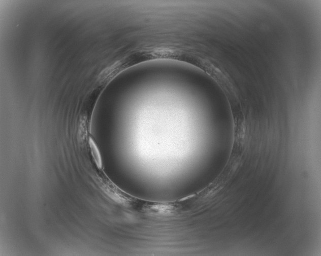 X0000080690478200612151253