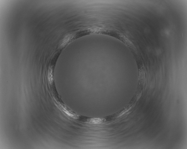 X0000080690479200612151253
