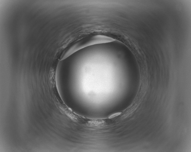 X0000080690480200612151253