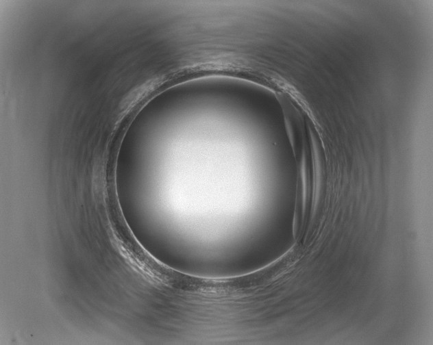 X0000080690482200612151253
