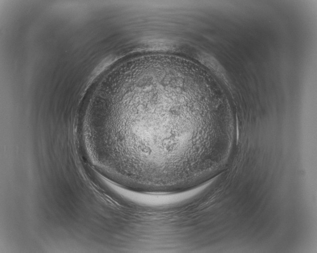 X0000080690483200612151253