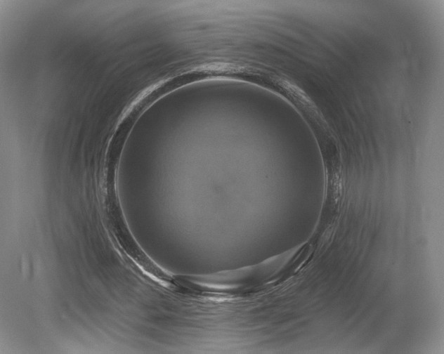 X0000080690484200612151253