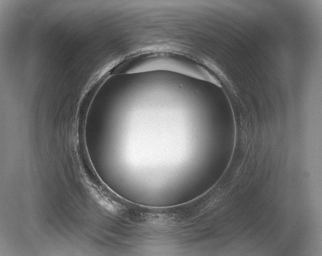 X0000080690486200612151253